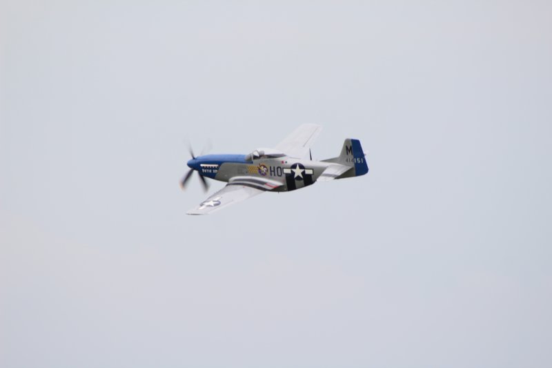 img_1831.jpg