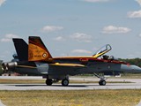 IMG_4909