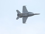 IMG_0830