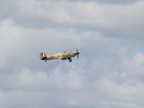 IMG_6360