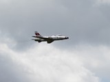 IMG_6989