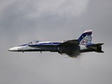 043A8198