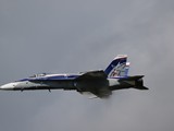 043A8199