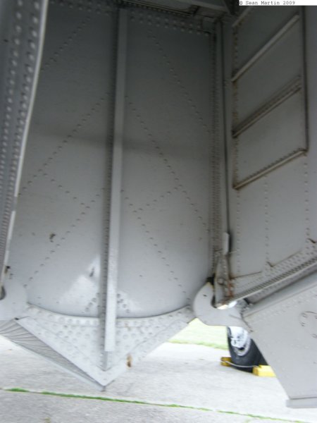 albatrosn298535.jpg