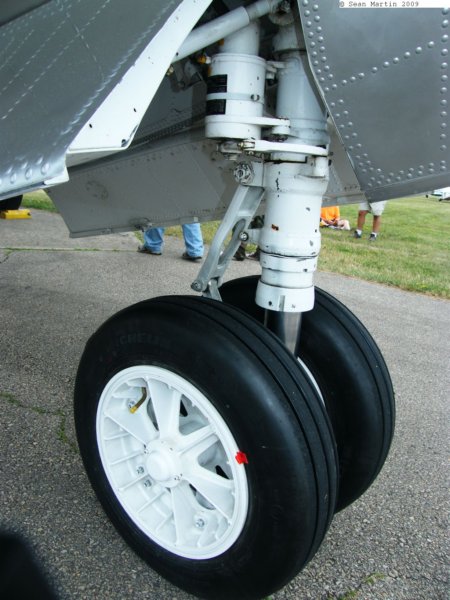 albatrosn298538.jpg