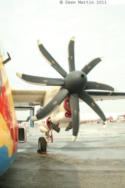 c21641444.jpg