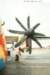 c21641444_small.jpg