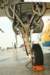c21641446_small.jpg