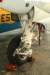 c21641448_small.jpg
