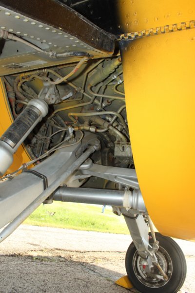 cf1041047562.jpg