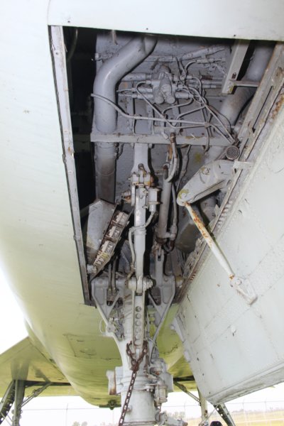 f1065604517.jpg