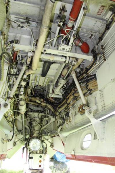 f1416160521.jpg