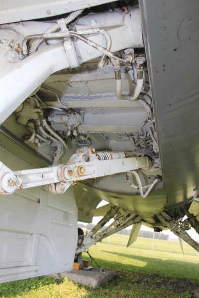 f167805916.jpg