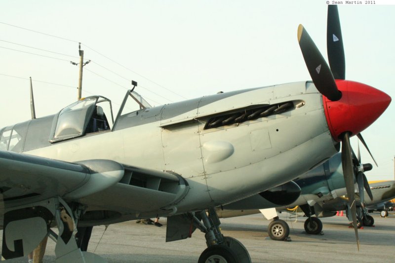 fireflycgbdg8.jpg
