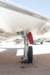 northamericnafury1395319_small.jpg
