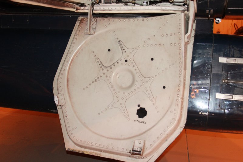 hawk15520911.jpg