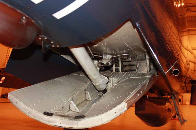 hawk15520924.jpg