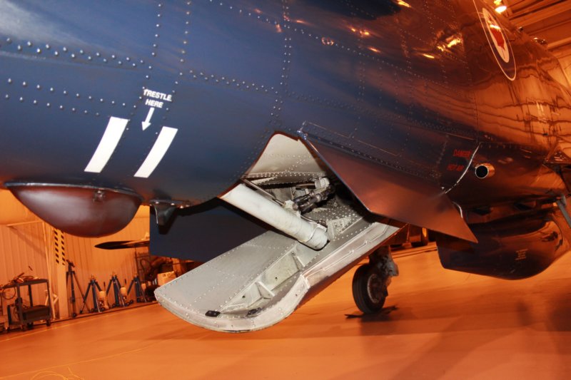 hawk15520925.jpg