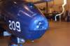hawk1552092_small.jpg