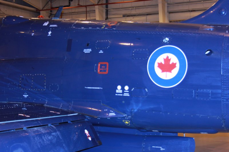 hawk15520930.jpg
