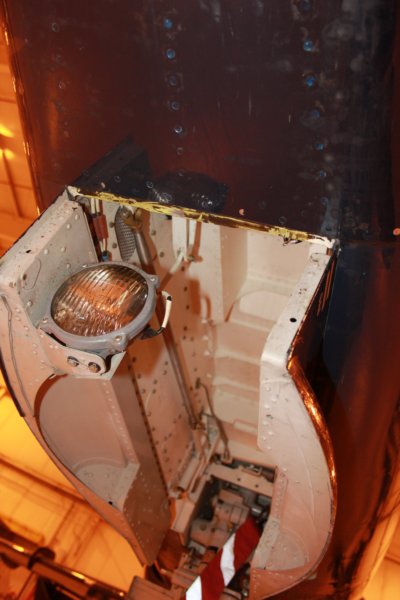 hawk15520938.jpg