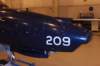 hawk1552093_small.jpg