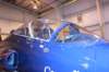 hawk1552096_small.jpg