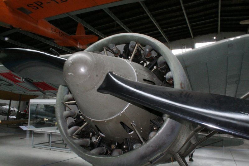 pzlp119.jpg