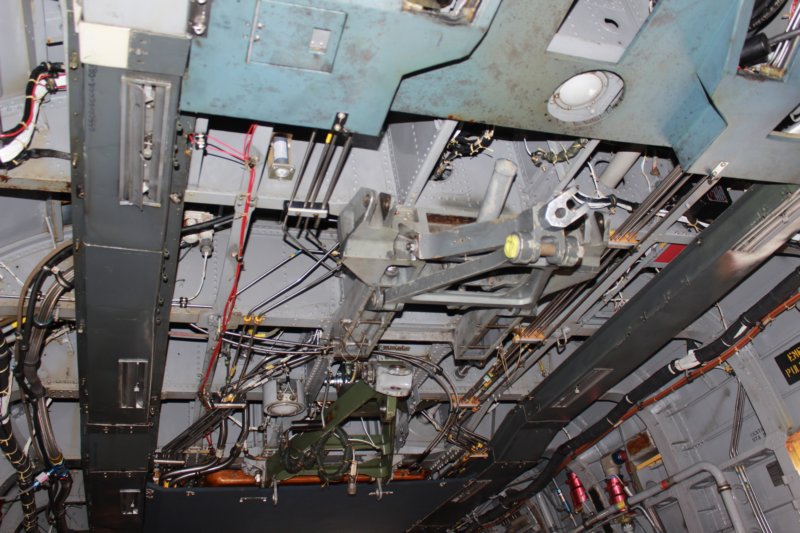 mh531630553.jpg
