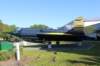 seadart135765_small.jpg