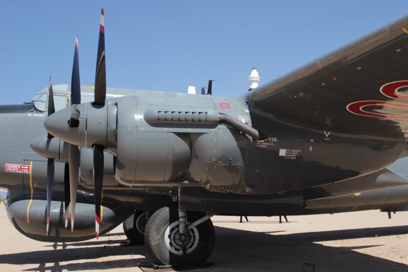 shackletonwl7903.jpg