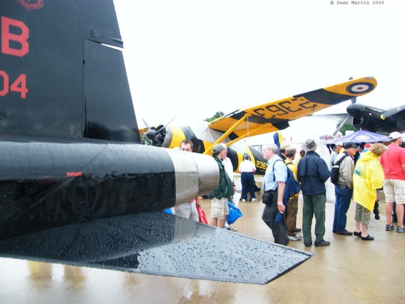 t384.jpg