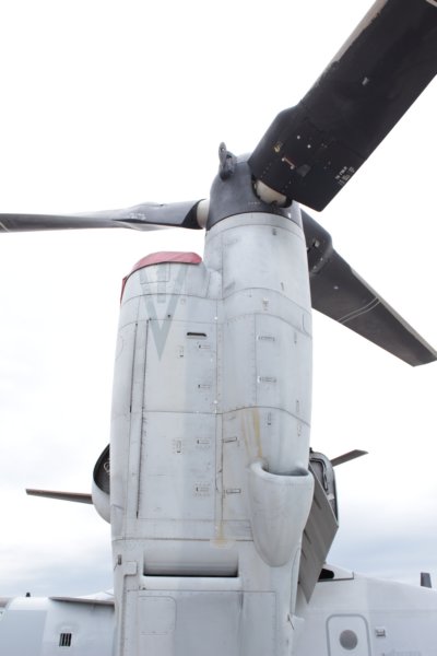 v221680152.jpg