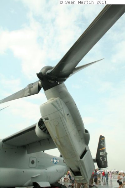 v221680192.jpg